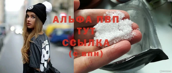 эйфоретик Майский