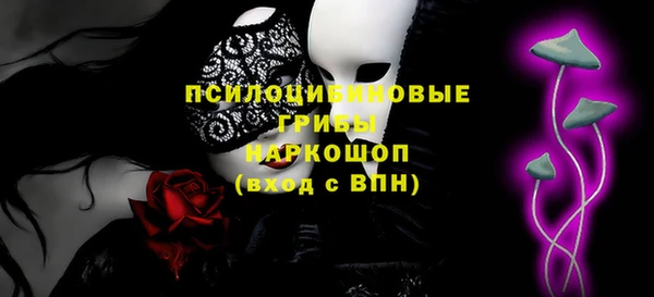 молекула духа Магадан