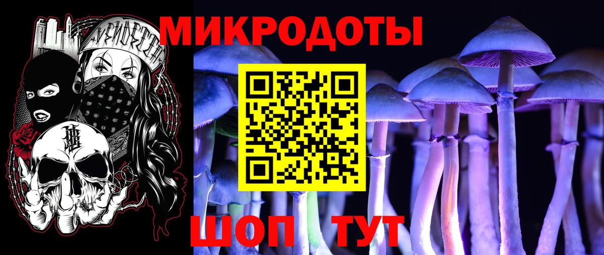 Галлюциногенные грибы MAGIC MUSHROOMS Юрга
